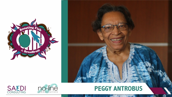 Presentation by Peggy Antrobus - Social Justice Activist  & member of the Caribbean Feminist Action Network (CFAN) based in Barbados